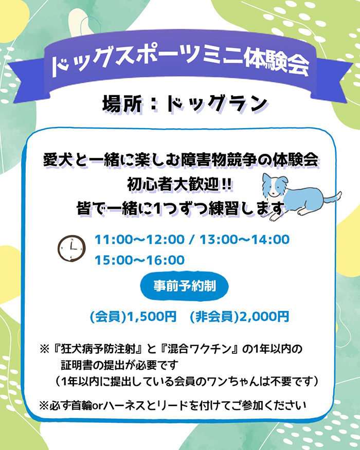 ドッグスポーツミニ体験会