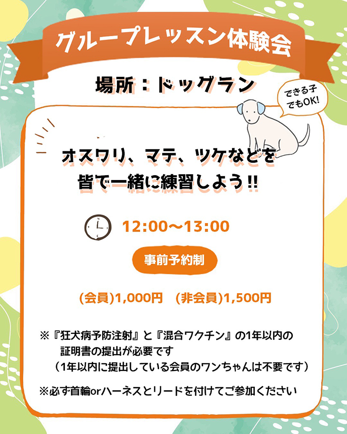 グループレッスン体験会