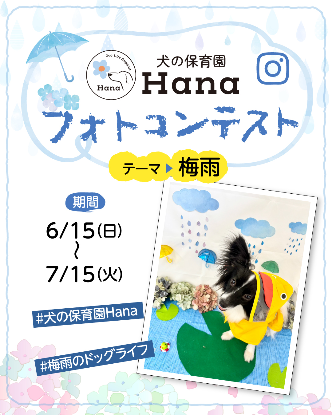 フォトコンテスト