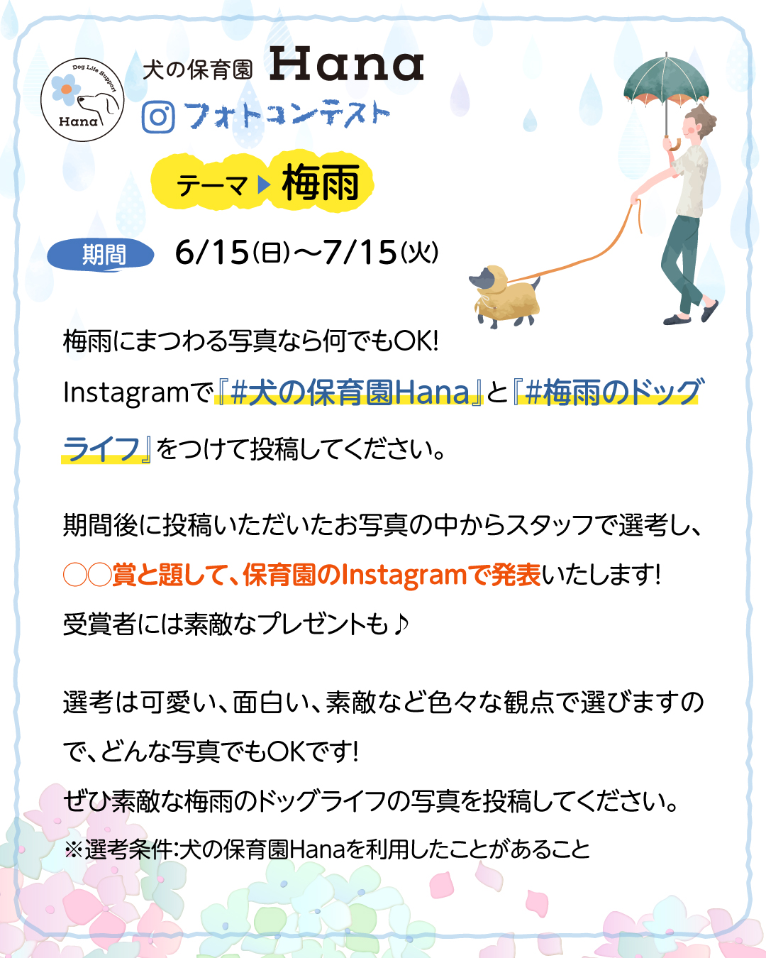 フォトコンテスト