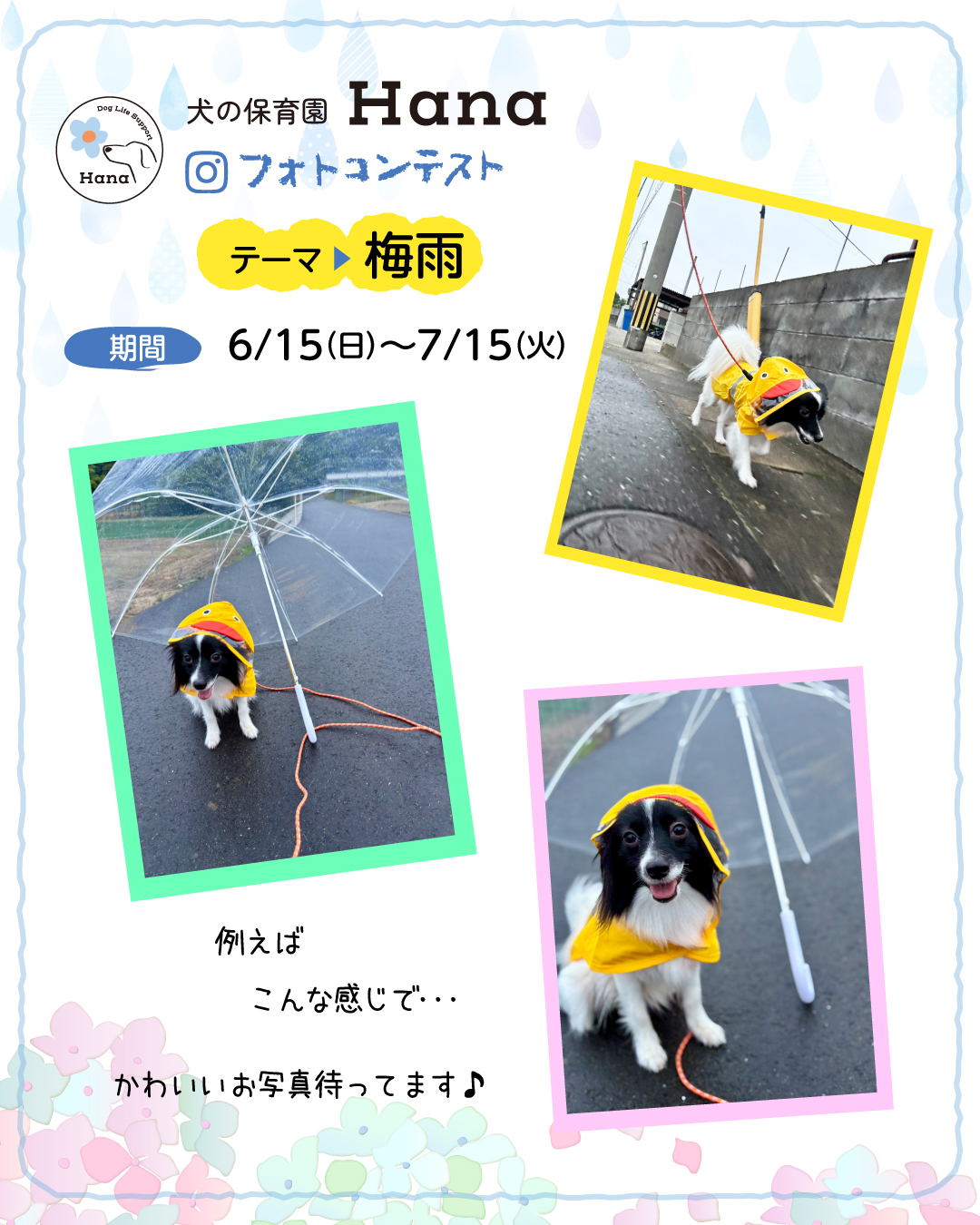 フォトコンテスト