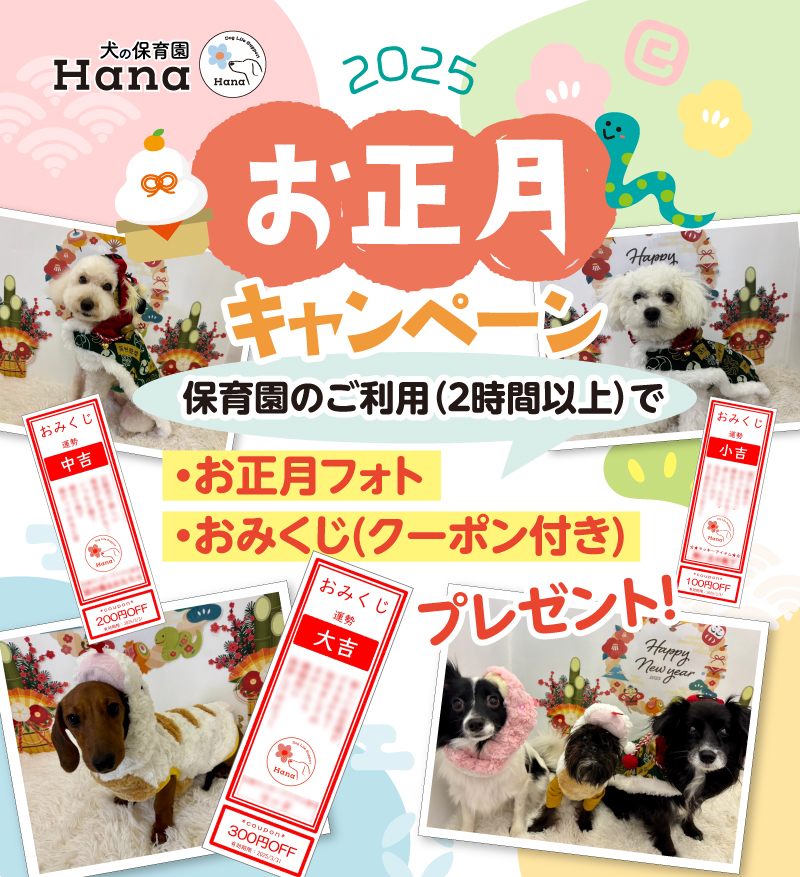 犬の保育園Hanaとは